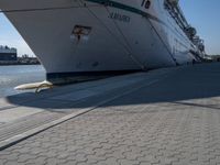 a person stands near a dock with the ship in the background on a sunny day