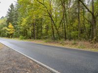 a road with trees and yellow leaves in the background is grey and there is no grass