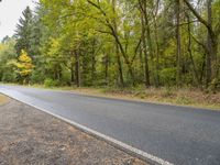 a road with trees and yellow leaves in the background is grey and there is no grass