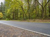 a road with trees and yellow leaves in the background is grey and there is no grass