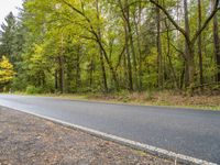 a road with trees and yellow leaves in the background is grey and there is no grass