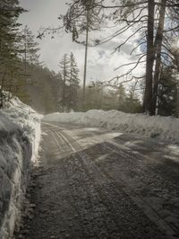 Germany's Forest Road: Covered in Snow