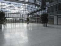 large glass atrium with potted plants on both sides and floor leveling the room