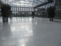 large glass atrium with potted plants on both sides and floor leveling the room