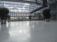 large glass atrium with potted plants on both sides and floor leveling the room