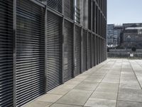 Germany's Glass Wall: A Reflection of City Life
