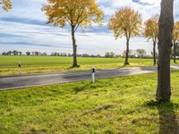 Germany: A Gloomy Grey Sky Over a Road Lined with Trees