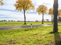 Germany: A Gloomy Grey Sky Over a Road Lined with Trees