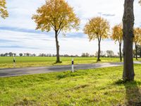 Germany: A Gloomy Grey Sky Over a Road Lined with Trees