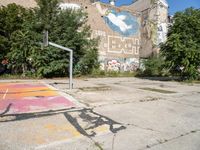 a basketball court with graffiti all over it with a person on a bike and buildings with trees in the background