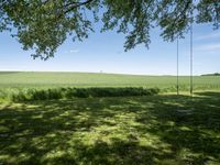 a swing sitting in a grass field next to a treeline and field with blue skies