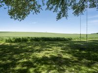 a swing sitting in a grass field next to a treeline and field with blue skies