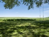 a swing sitting in a grass field next to a treeline and field with blue skies