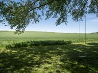 a swing sitting in a grass field next to a treeline and field with blue skies