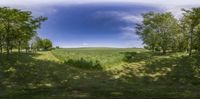 a field with many trees and green grass around it, with a bright blue sky above