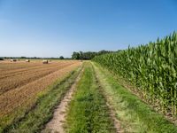 Germany Green Fields Under Clear Sky