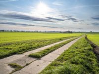 Germany: Green Grass Road and Beautiful Nature