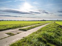 Germany: Green Grass Road and Beautiful Nature