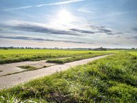 Germany: Green Grass Road and Beautiful Nature