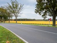 a country road with trees and yellow grass in the background and an empty street sign