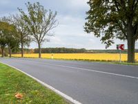 a country road with trees and yellow grass in the background and an empty street sign