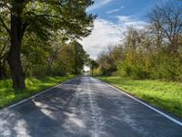 a rural country road through green pastures, with bright trees along it and a sunny sky in the background