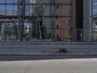 a boy is playing with a soccer ball in front of a building with a reflection of a tree