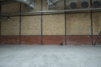 a cat sits in a big, empty space between two large metal fans and a brick wall