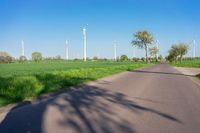 Germany Landscape: Asphalt Road under a Clear Sky