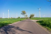 Germany Landscape: Asphalt Road under a Clear Sky