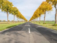 Germany Landscape: Autumn Asphalt Road