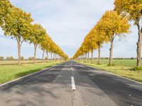 Germany Landscape: Autumn Asphalt Road