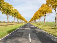 Germany Landscape: Autumn Asphalt Road