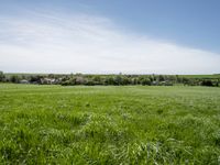 Germany Landscape: Clear Sky Over Agricultural Fields