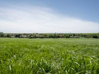 Germany Landscape: Clear Sky Over Agricultural Fields