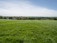 Germany Landscape: Clear Sky Over Agricultural Fields