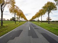 Germany's Landscape: Clouds Over an Asphalt Road