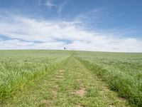 Germany Landscape: Grass Field with Clouds