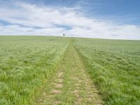 Germany Landscape: Grass Field with Clouds