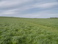 Germany Landscape: A Green Field Underneath the Clouds