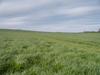 Germany Landscape: A Green Field Underneath the Clouds