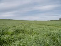 Germany Landscape: A Green Field Underneath the Clouds