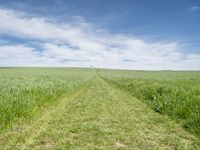 Germany Landscape: Green Fields Road 001