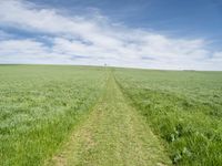 Germany Landscape: Green Fields and Road 003