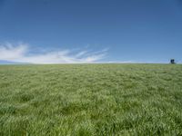 Germany Landscape: Green Grass Field