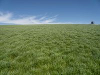 Germany Landscape: Green Grass Field