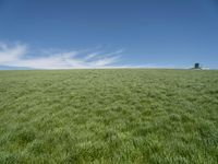 Germany Landscape: Green Grass Field