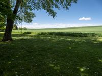 Germany Landscape with Lush Green Grass and Open Space