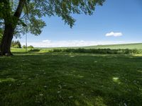 Germany Landscape with Lush Green Grass and Open Space