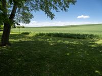 Germany Landscape with Lush Green Grass and Open Space